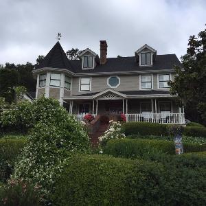 Amizetta Vineyards photo