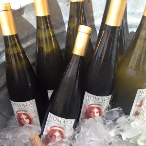 Homage Vineyard photo