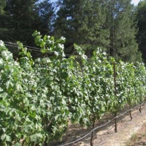 Howell at the Moon photo