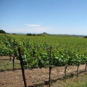 Hudson Vineyards photo
