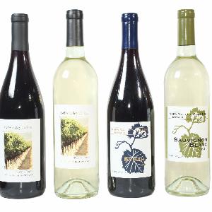 Napa Valley College Estate Winery photo