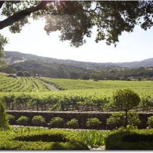 Pedras Wine Company photo