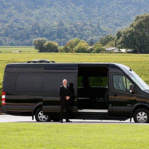 Dynamic Napa Wine Tours photo