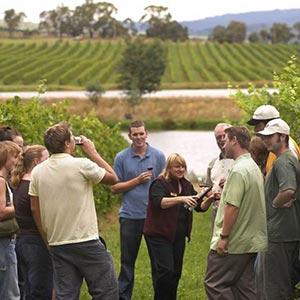 Wine & Dine Tours photo