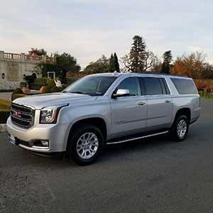 Napa Valley Chauffeur photo