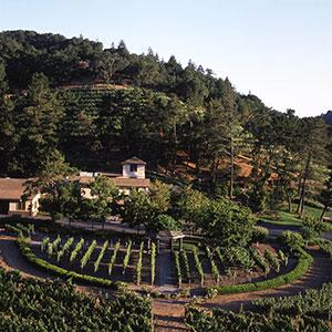 Pine Ridge Vineyards photo