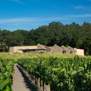 Stag's Leap Wine Cellars photo