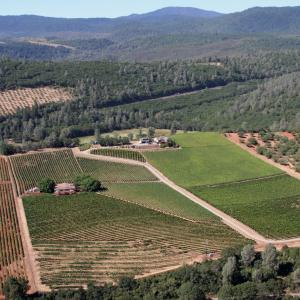 Gregory Graham Winery photo