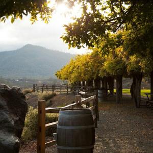 Langtry Estate & Vineyards photo