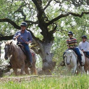 Napa Valley Trail Rides photo