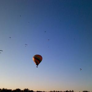 Napa Valley Drifters photo