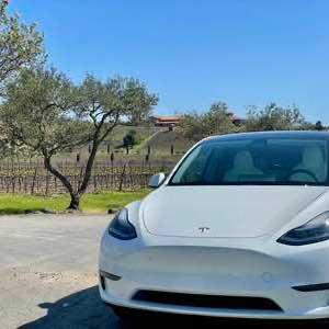 North Bay Wine Tours photo