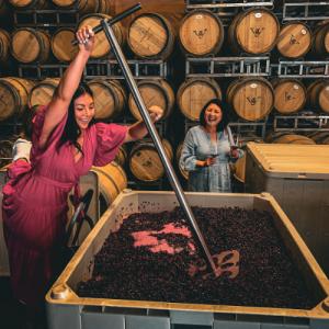 Master Wine Tours photo