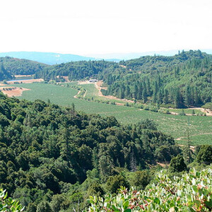 Benmore Valley Ranch photo