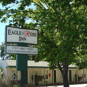 Eagle & Rose Inn photo