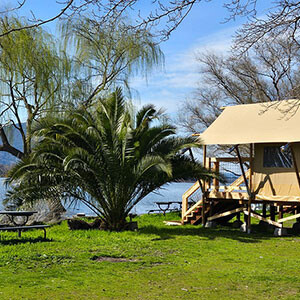 The Oasis Campground photo