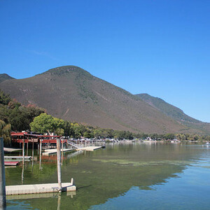 The Reel In’ Resort photo