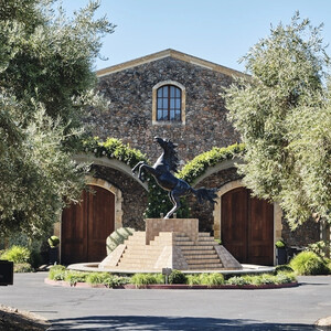 Black Stallion Winery photo