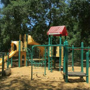 Pioneer Park photo
