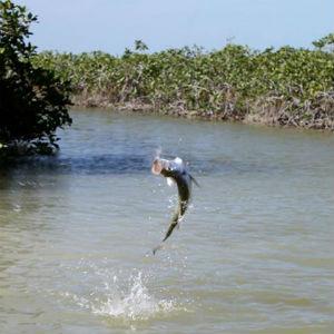 Off the Hook Fly Fishing photo