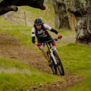 Calistoga Bikeshop photo