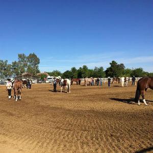 Rafter L Stables photo