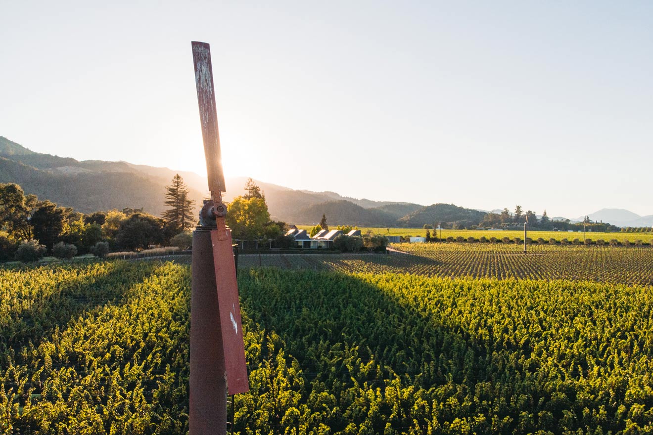 Bella Oaks | Matt Morris Photos