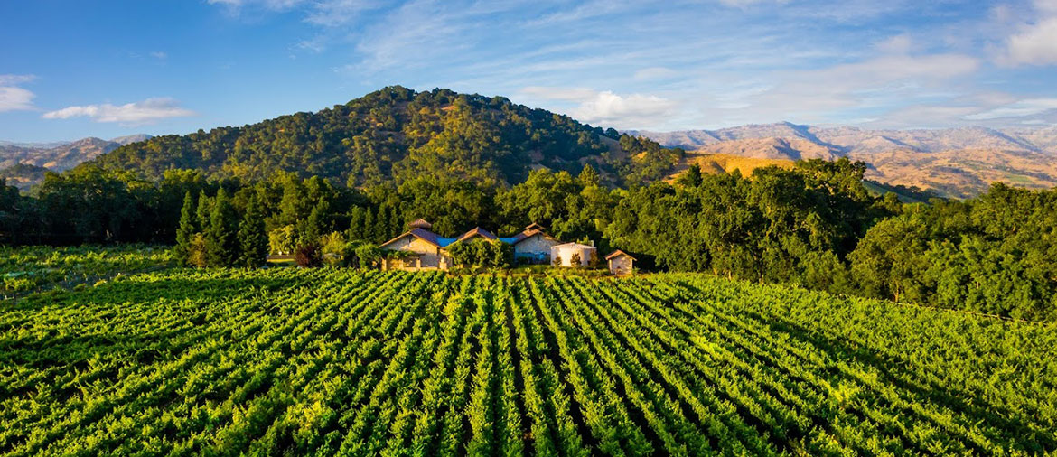 Bell Wine Cellars in Yountville, CA
