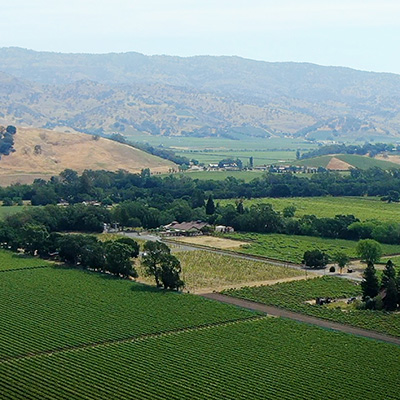 SENSORY TASTING at Bell Wine Cellars
