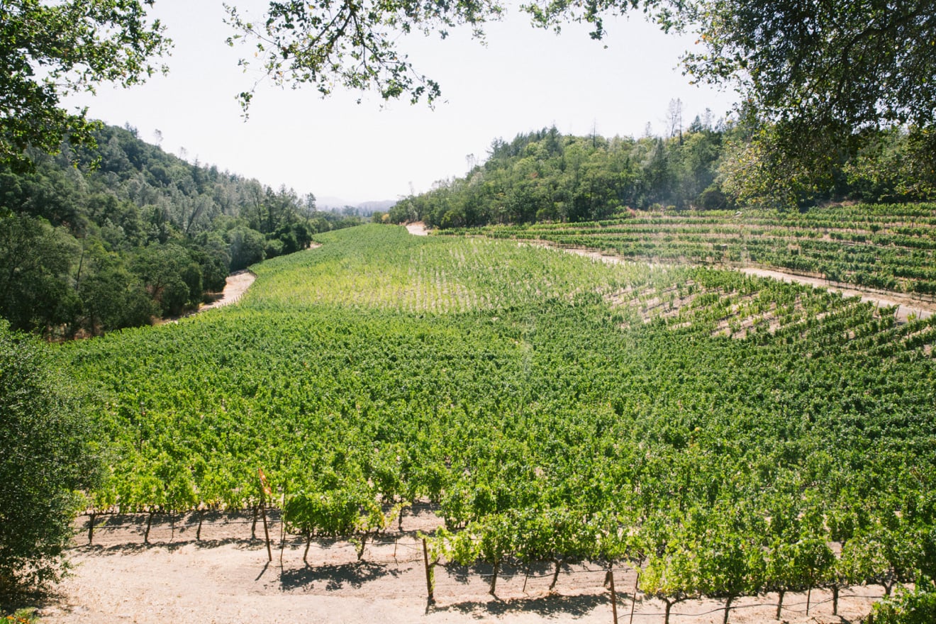 Fantesca Estate in Spring Mountain