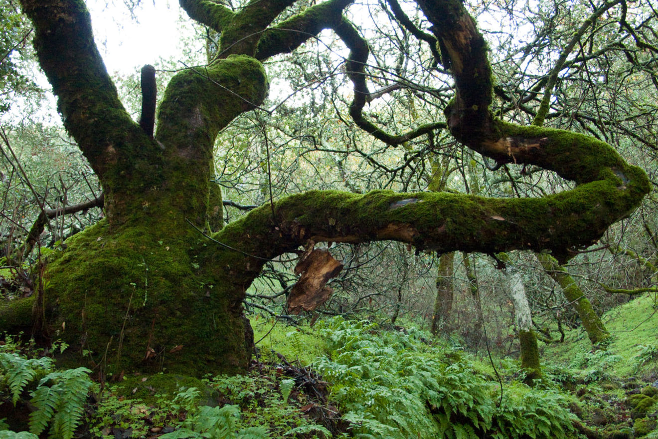 Skyline Wilderness Park | Samanda Dorger-Poccia