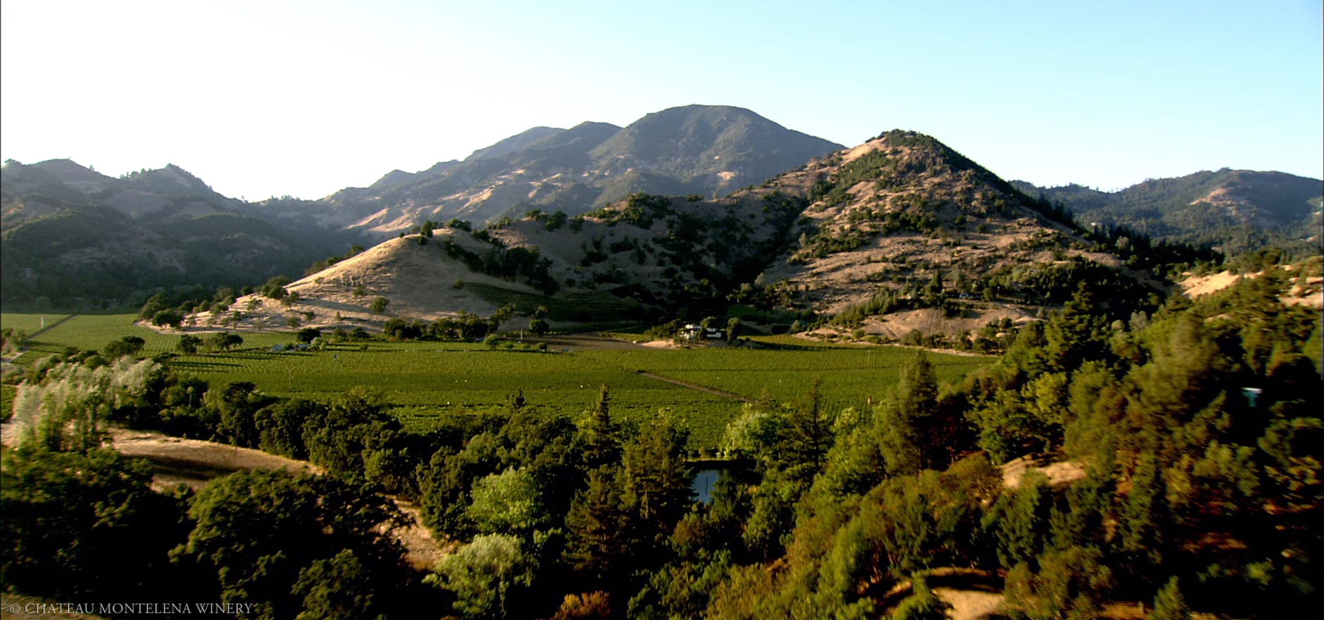 Chateau Montelena