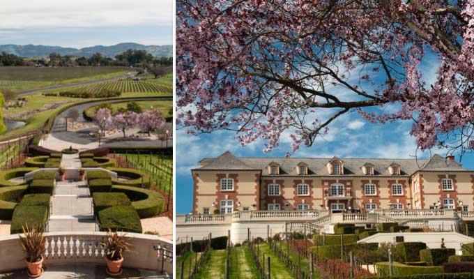 domaine-carneros