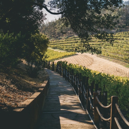 Fantesca Estate & Winery