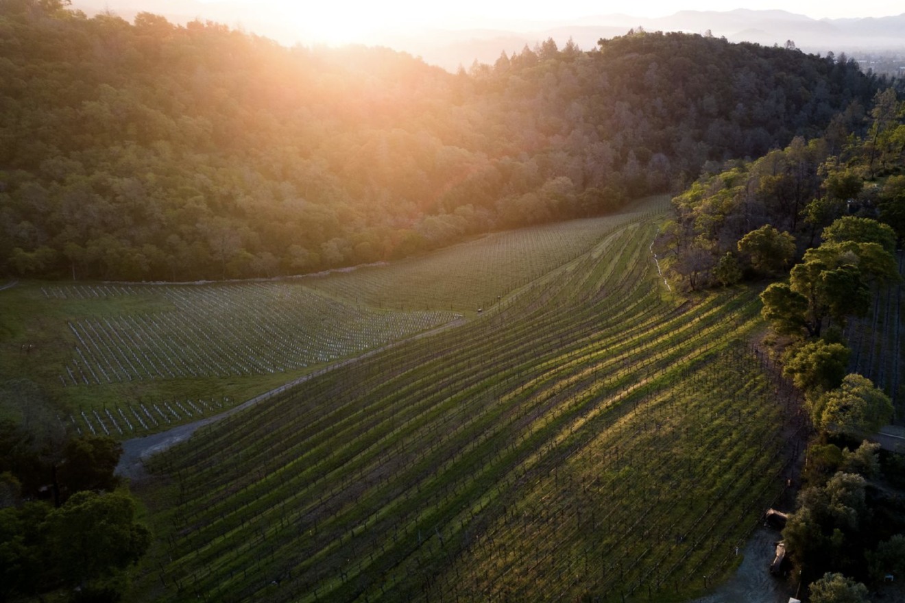 Fantesca Estate & Winery | Brandon Tavelli Photography