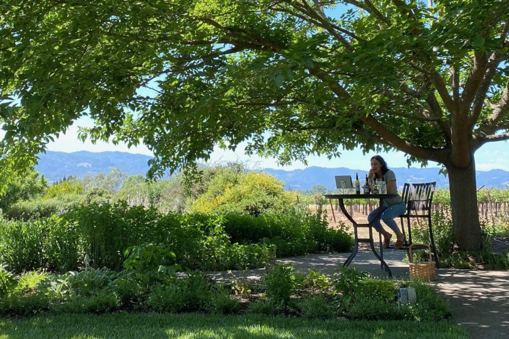 Frog’s Leap Winery