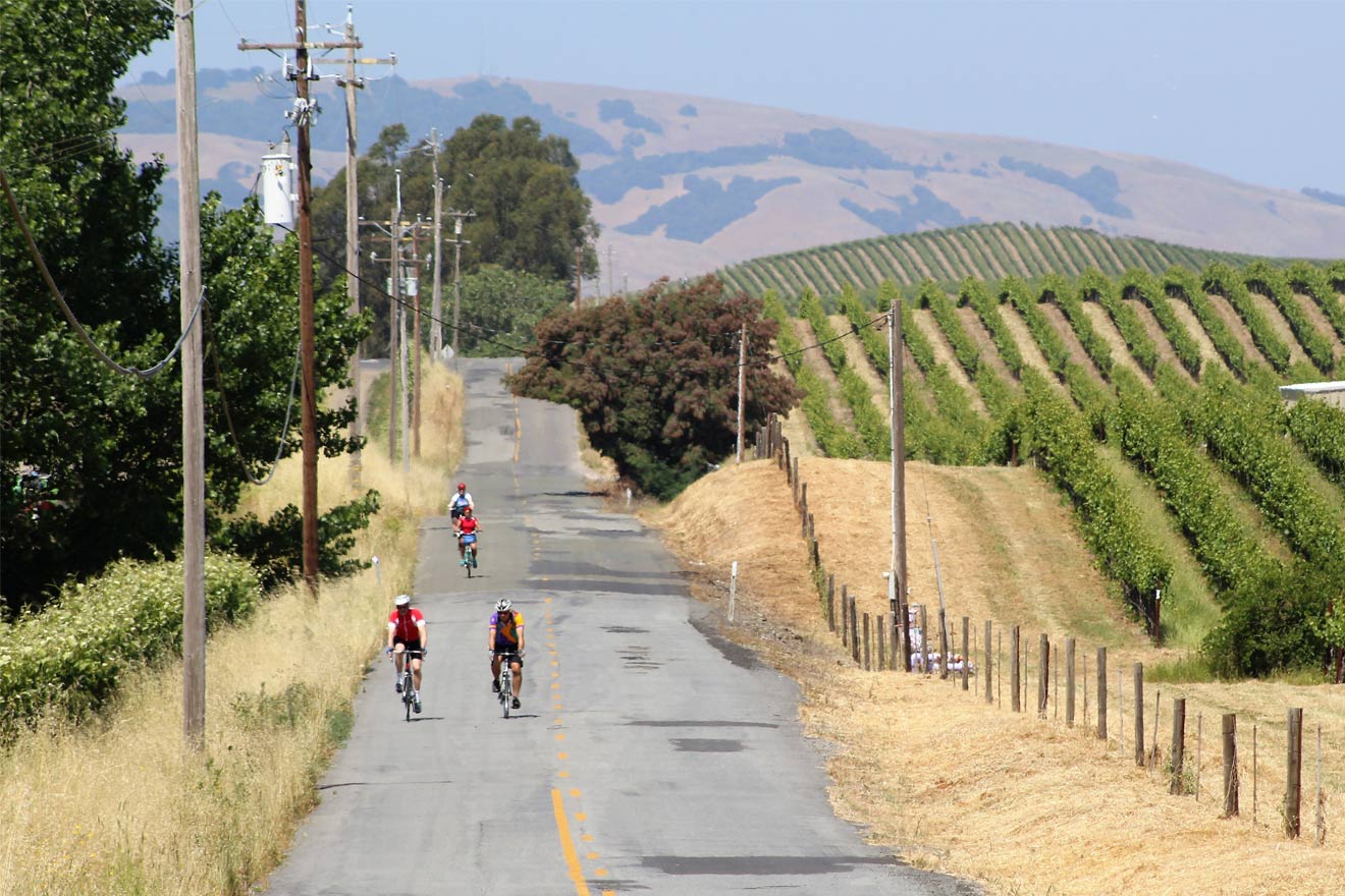 Getaway Adventures, riding bike through wine country
