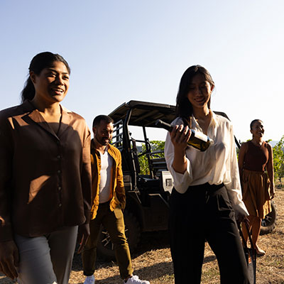 Taste Among the Vineyards