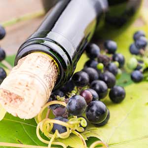 Designated Drivers Napa & Sonoma