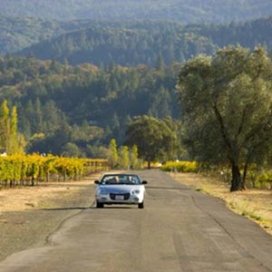 Designated Drivers Napa & Sonoma