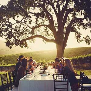 Designated Drivers Napa amd Sonoma