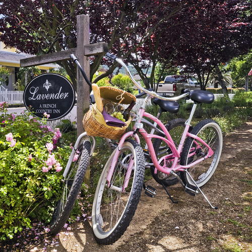 Lavender, A Four Sisters Inn