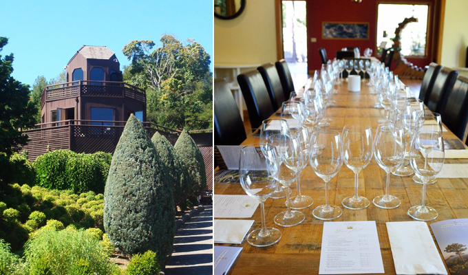 Newton-Vineyard-680x400