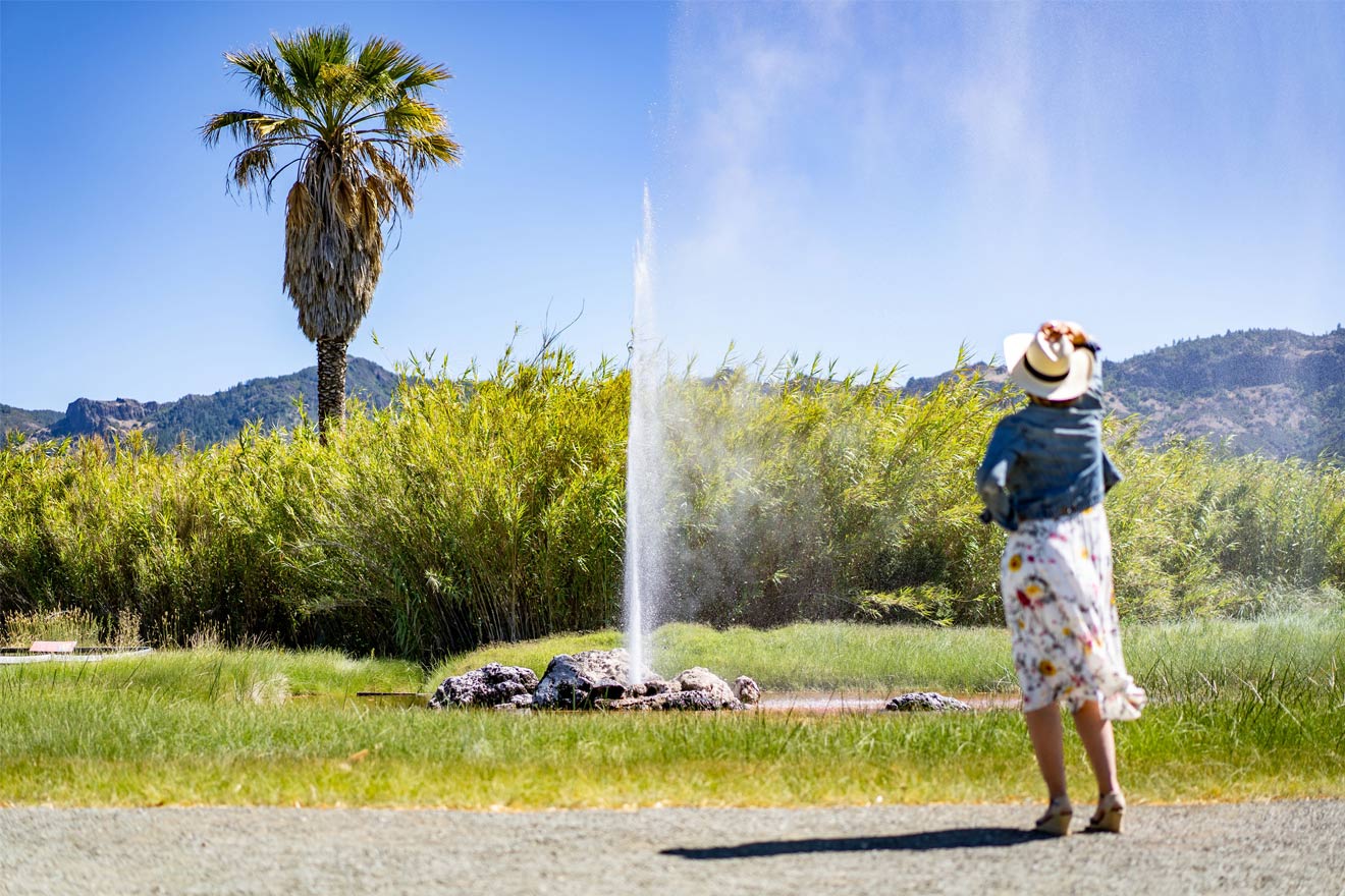 Old Faithful Geyser in Calistoga, CA