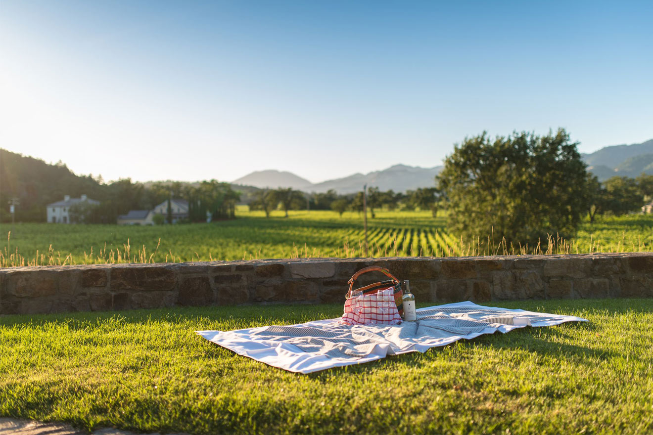 picnic in the vineyards