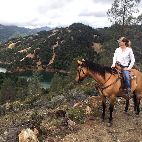 Secret Horseback Ride & Picnic