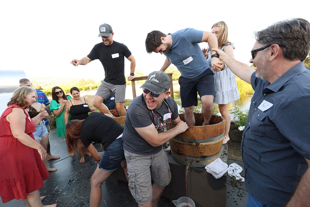 grape stomp at Reynolds Family Winery