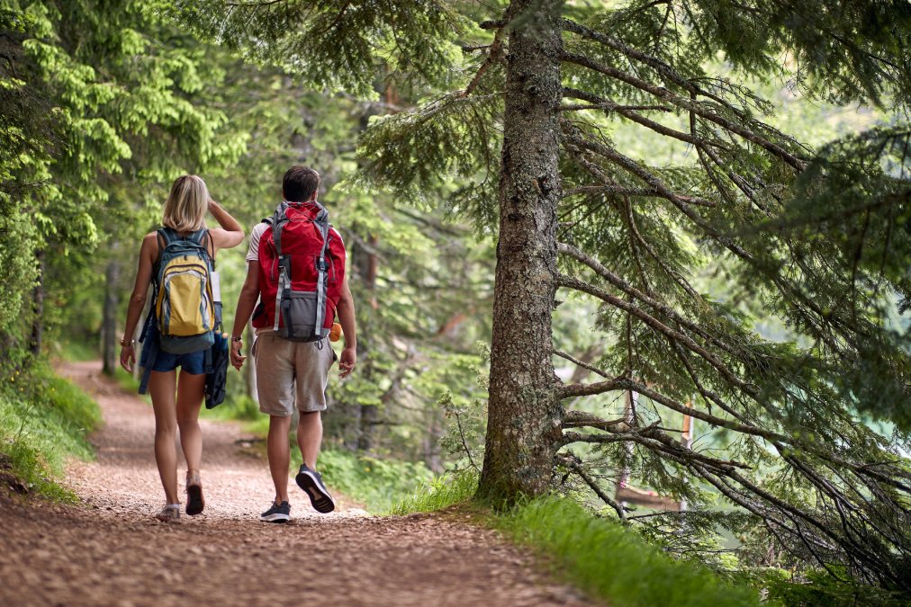 A couple is hiking the forest path on a beautiful day. Shutterstock