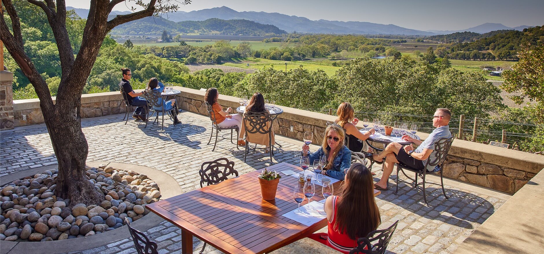 Silverado Vineyard | Rocco Ceselin