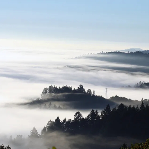 Spring Mountain Vineyard